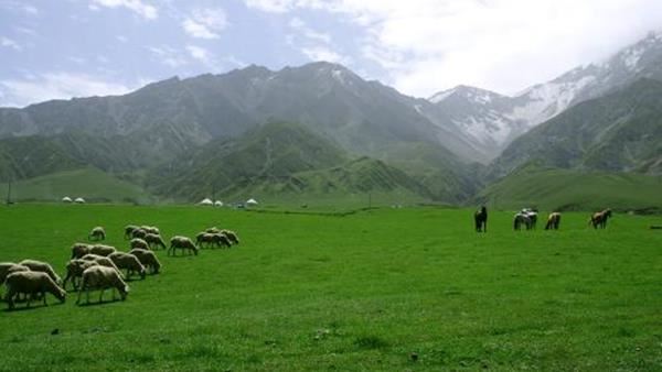 產(chǎn)業(yè)帶動就業(yè) 打贏脫貧攻堅戰(zhàn)